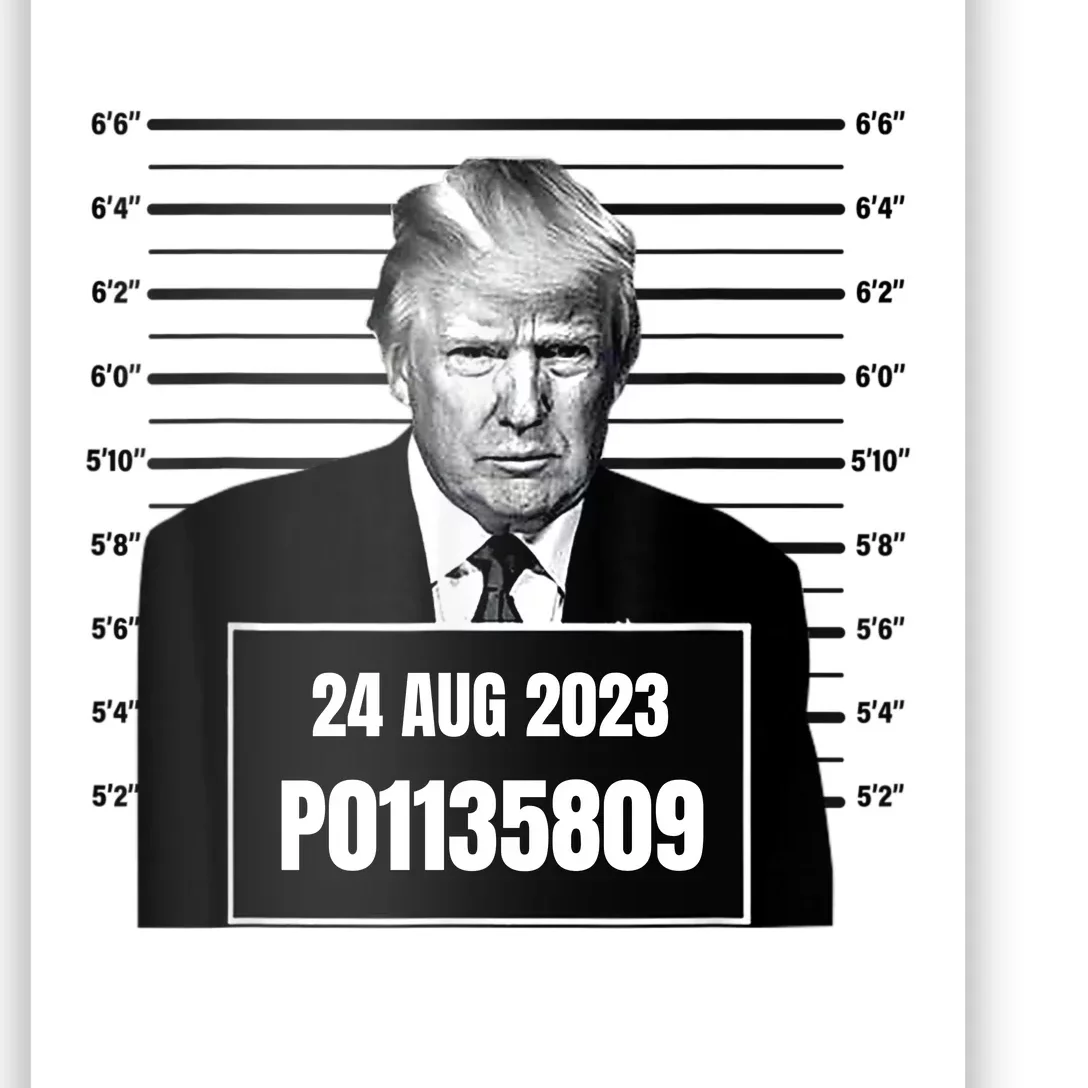 Trump 2024 Mugshot Trump Inmate P01135809 Poster