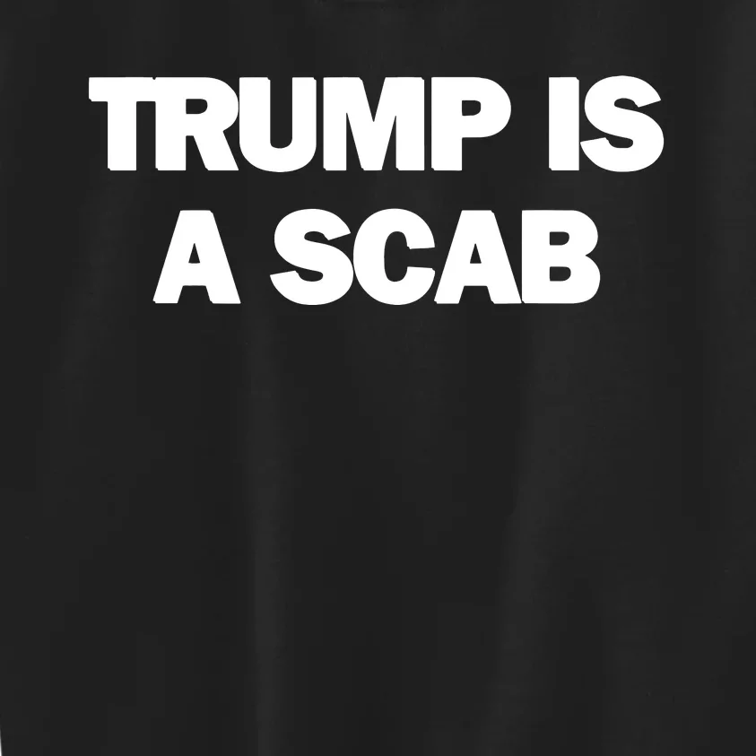 Donald Trump Is A Scab Kids Sweatshirt