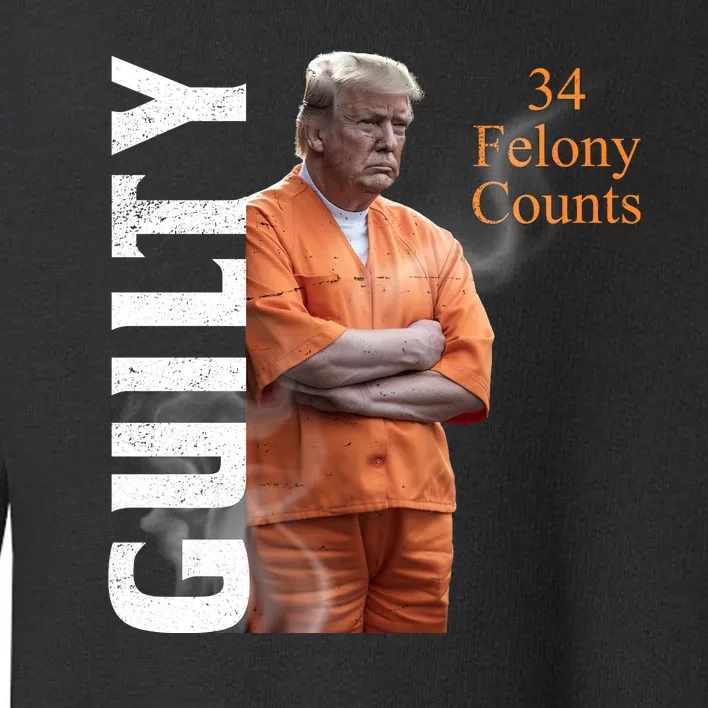 Donald Trump Is Guilty 34 Felony Counts Toddler Sweatshirt