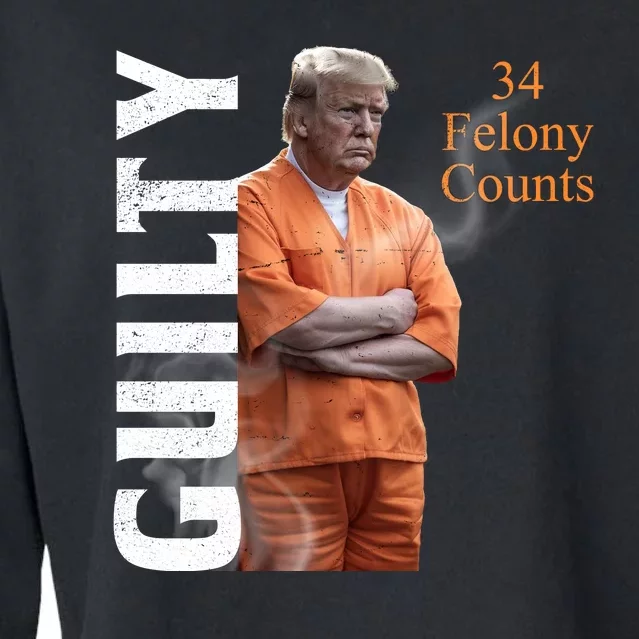 Donald Trump Is Guilty 34 Felony Counts Cropped Pullover Crew