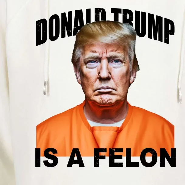 Donald Trump Is A Felon Womens Funnel Neck Pullover Hood