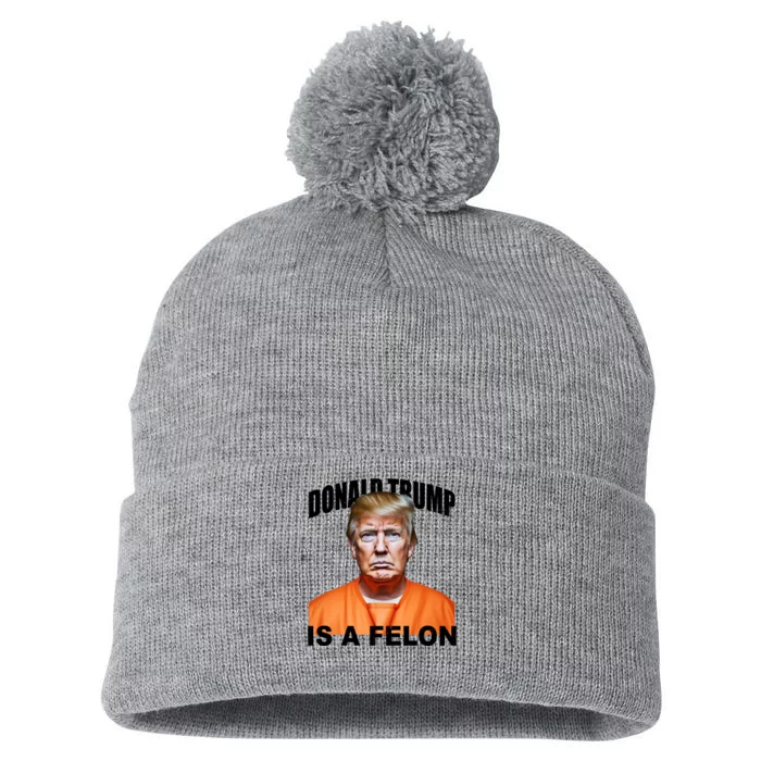 Donald Trump Is A Felon Pom Pom 12in Knit Beanie