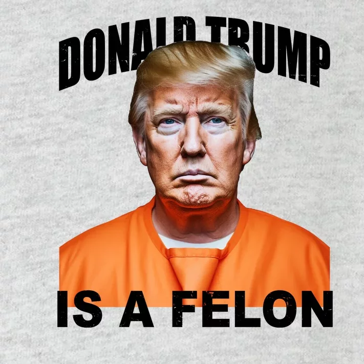 Donald Trump Is A Felon Toddler Long Sleeve Shirt