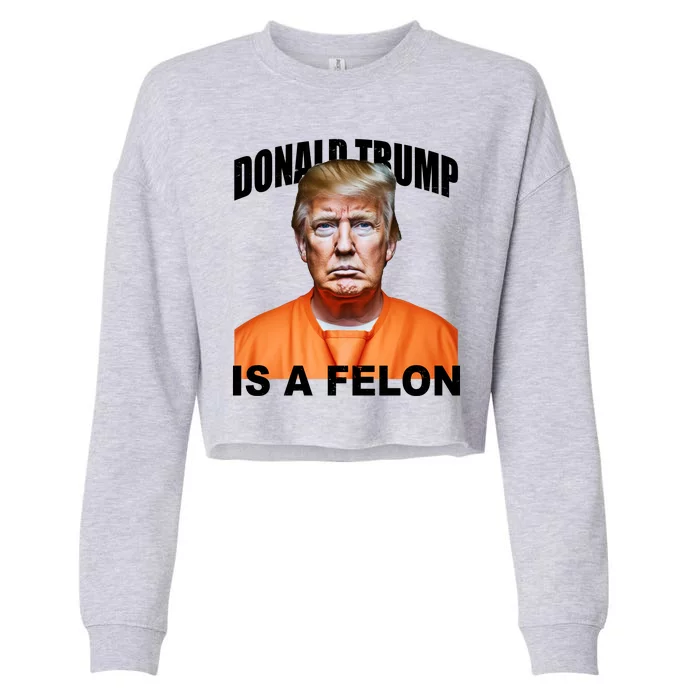 Donald Trump Is A Felon Cropped Pullover Crew