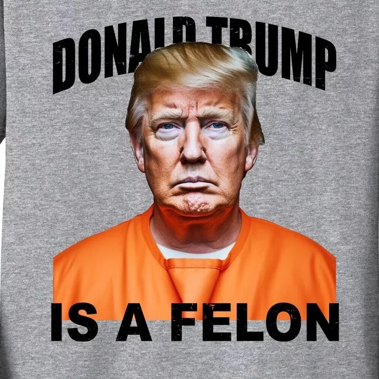 Donald Trump Is A Felon Kids Long Sleeve Shirt