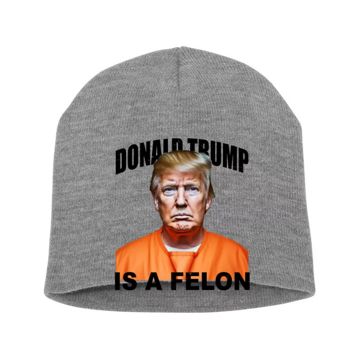 Donald Trump Is A Felon Short Acrylic Beanie