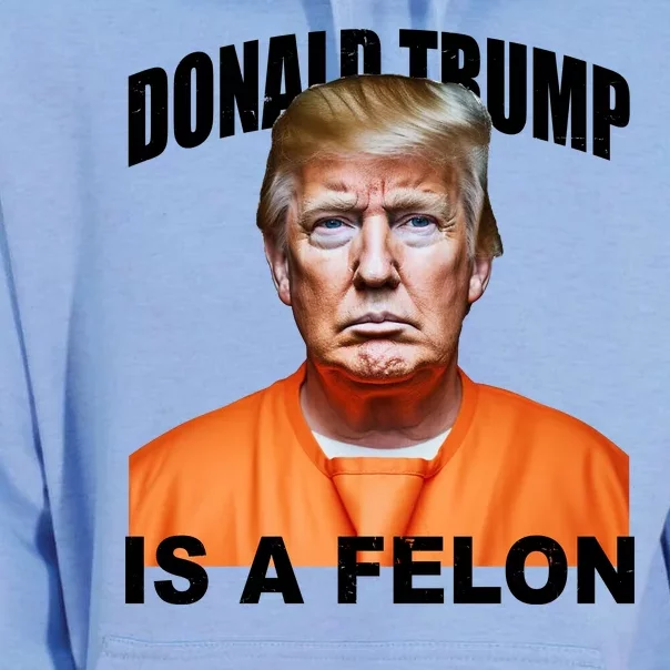 Donald Trump Is A Felon Unisex Surf Hoodie