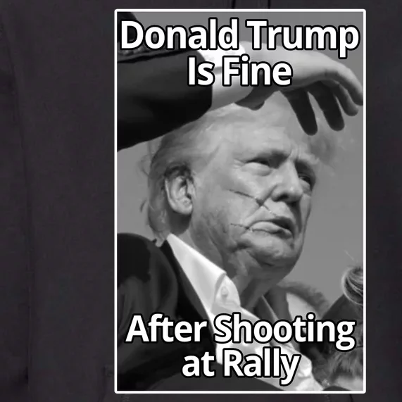 Donald Trump Is Fine After Shooting At Rally Premium Hoodie