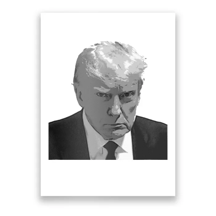 DONALD TRUMP MUG SHOT Poster