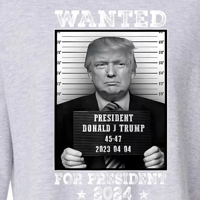 Donald Trump Mug Shot Wanted For U.S. President 2024 Cropped Pullover Crew