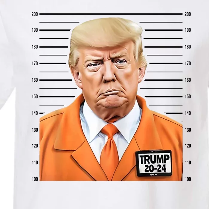 Donald Trump Mug Shot 2024 Orange Jail Suit Garment-Dyed Heavyweight T-Shirt