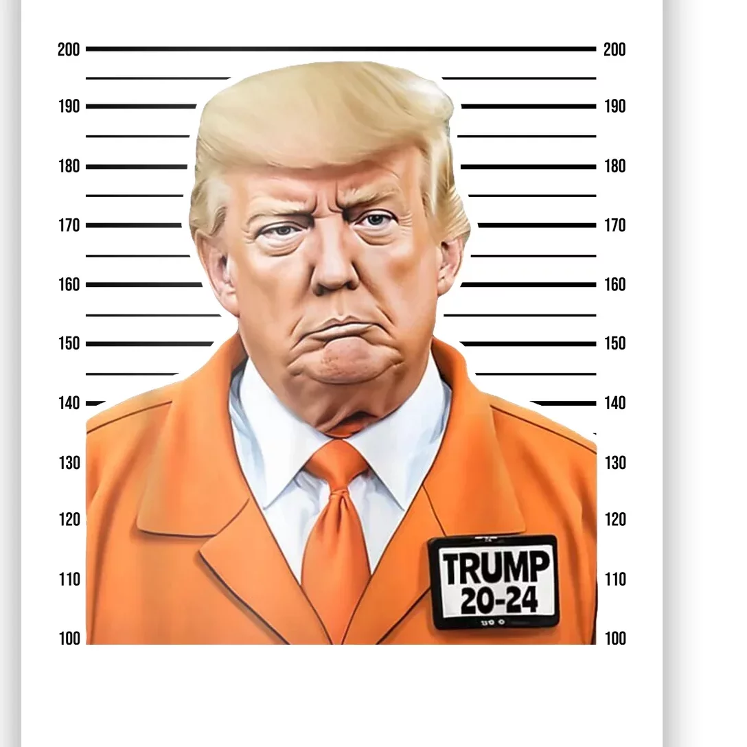 Donald Trump Mug Shot 2024 Orange Jail Suit Poster | TeeShirtPalace