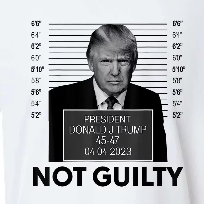 Donald Trump Mugshot Not Guilty Trump Supporter Sueded Cloud Jersey T-Shirt