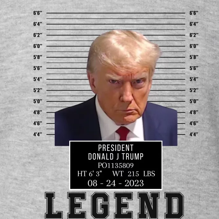 Donald Trump Mug Shot Donald Trump Legend Free Donald Trump Mugshot 2024 Toddler Sweatshirt