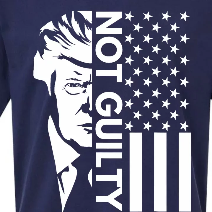 Donald Trump Mugshot 2024 Not Guilty Supporter Usa Flag Sueded Cloud Jersey T-Shirt