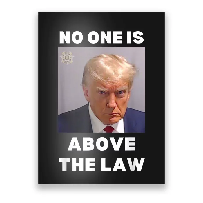 Donald Trump Mug Shot No One Is Above The Law AntiTrump Poster