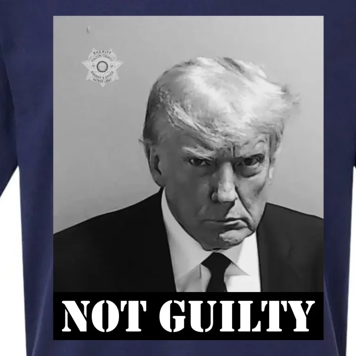 Donald Trump Not Guilty Mugshot Sueded Cloud Jersey T-Shirt