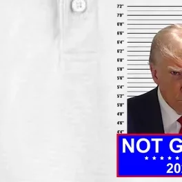 Donald Trump Not Guilty 2024 Mugshot Politcal Dry Zone Grid Performance Polo