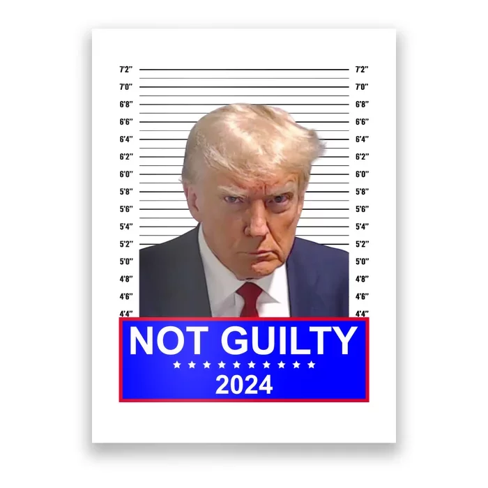 Donald Trump Not Guilty 2024 Mugshot Politcal Poster