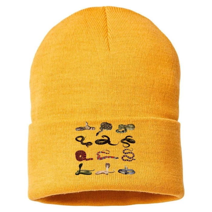 Different Types Of Snakes Boy Girl Educational Serpent Sustainable Knit Beanie