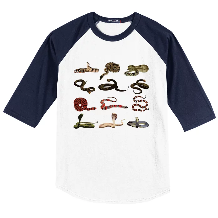 Different Types Of Snakes Boy Girl Educational Serpent Baseball Sleeve Shirt