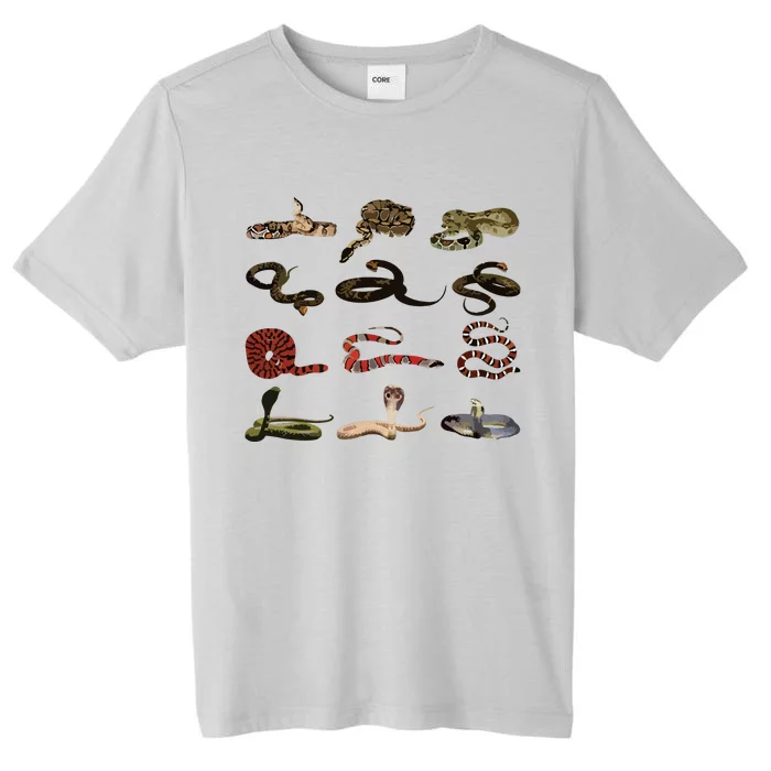 Different Types Of Snakes Boy Girl Educational Serpent ChromaSoft Performance T-Shirt