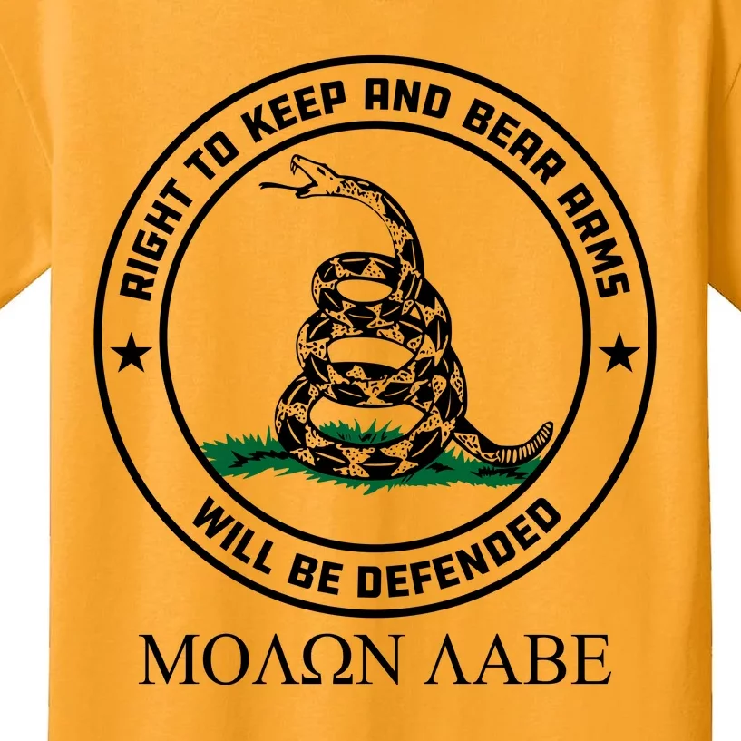 Dont Tread On Me Right To Keep & Bear Arms Come & Take It Kids T-Shirt