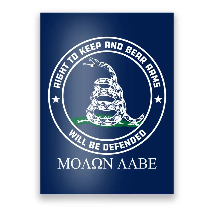 Dont Tread On Me Right To Keep & Bear Arms Come & Take It Poster