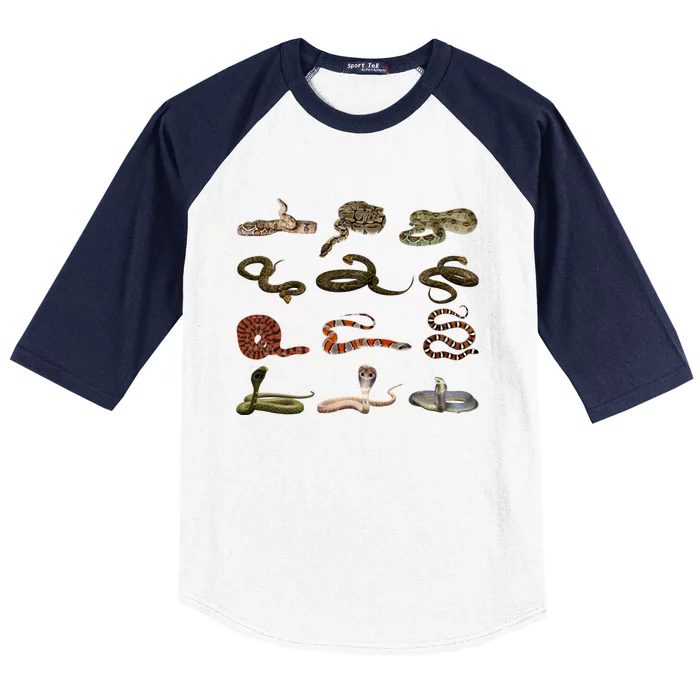 Different Types Of Snakes Boys Kids Girl Educational Serpent Gift Baseball Sleeve Shirt