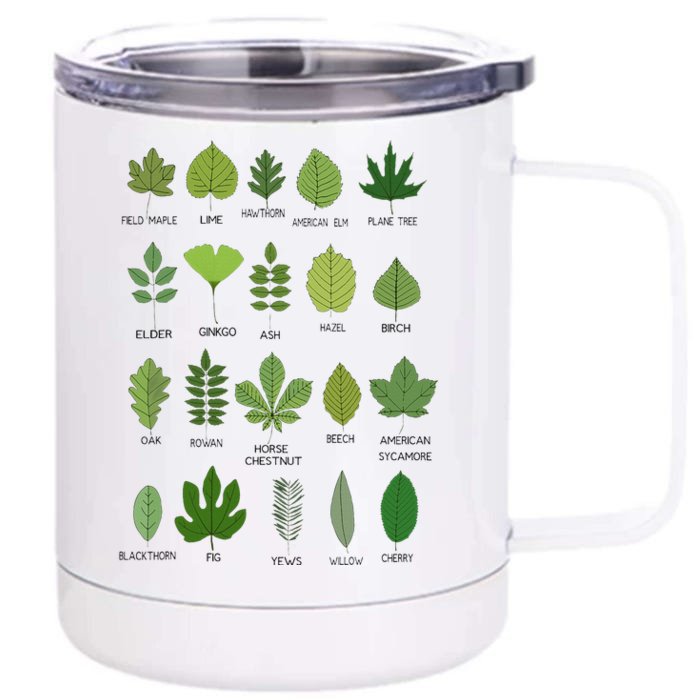 Different Types of Tree Leaves Common Leaves Nature Lovers Front & Back 12oz Stainless Steel Tumbler Cup