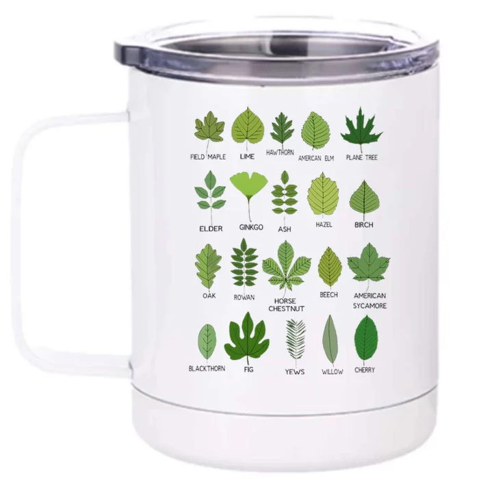 Different Types of Tree Leaves Common Leaves Nature Lovers Front & Back 12oz Stainless Steel Tumbler Cup