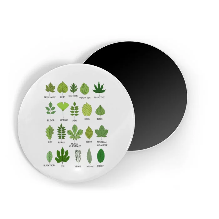 Different Types of Tree Leaves Common Leaves Nature Lovers Magnet