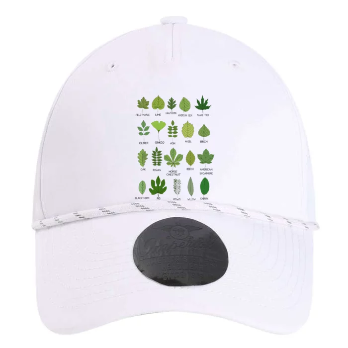 Different Types of Tree Leaves Common Leaves Nature Lovers Performance The Dyno Cap