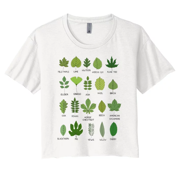 Different Types of Tree Leaves Common Leaves Nature Lovers Women's Crop Top Tee