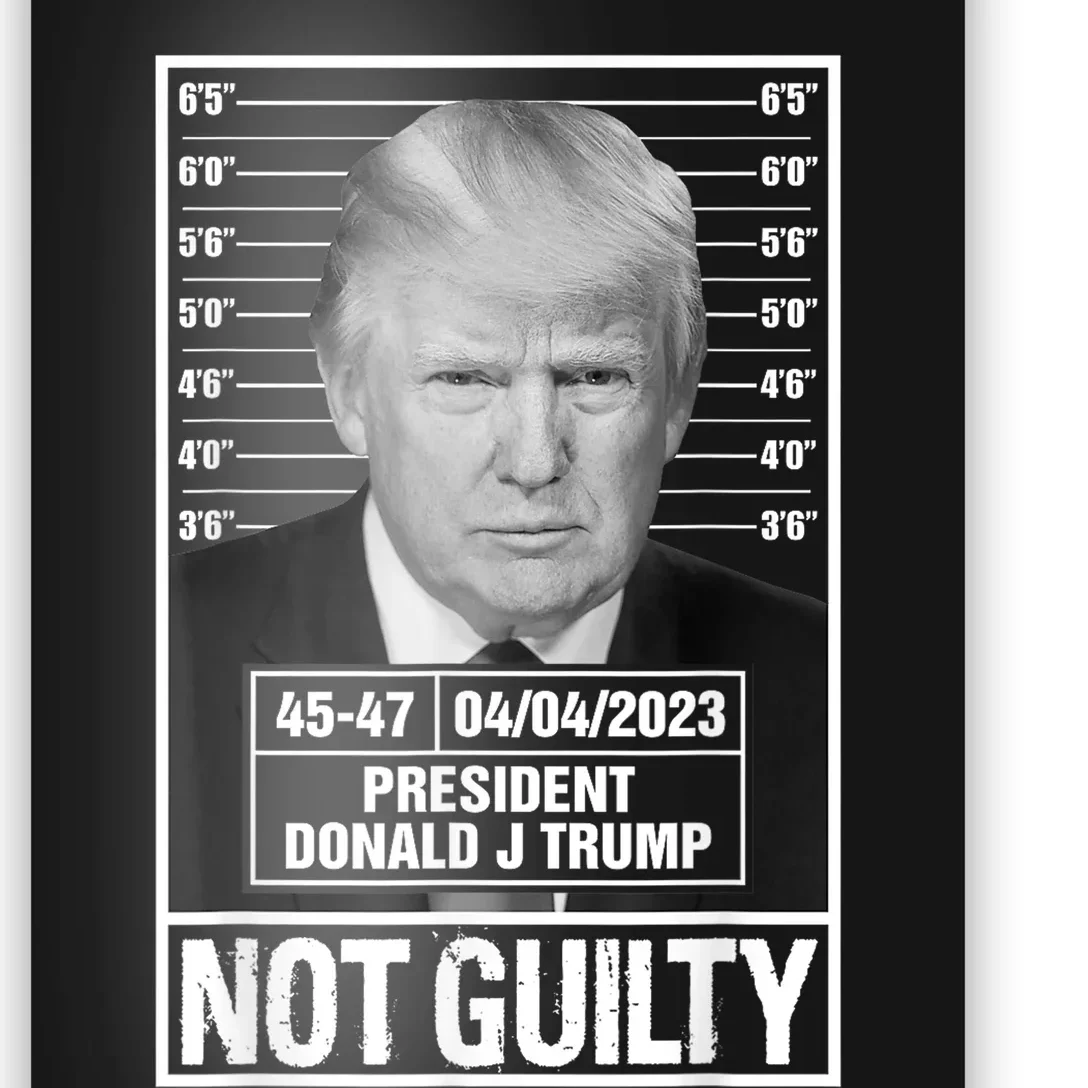 Donald Trump Police Mugshot Photo Not Guilty 4547 President Poster