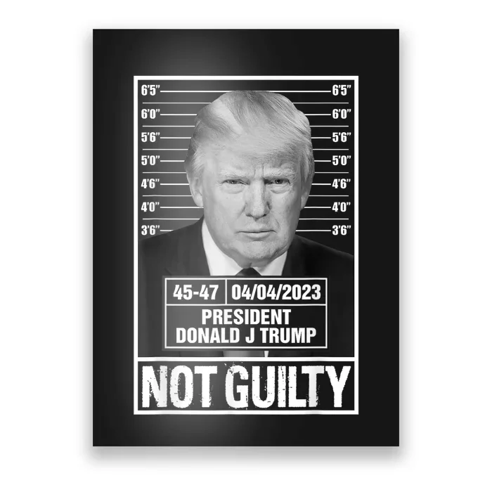 Donald Trump Police Mugshot Photo Not Guilty 4547 President Poster