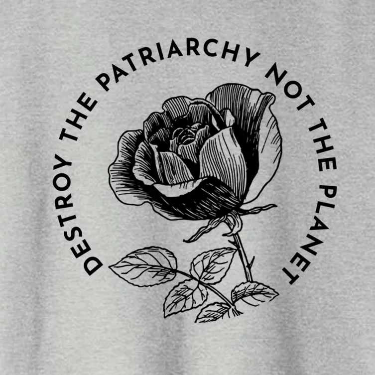 Destroy The Patriarchy Not The Planet Gift Women's Crop Top Tee