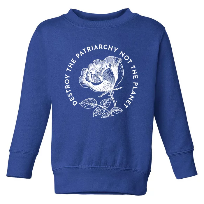 Destroy The Patriarchy Not The Planet Gift Toddler Sweatshirt