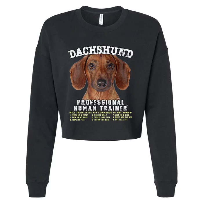 Dachshund Tan Professional Human Trainer Cropped Pullover Crew