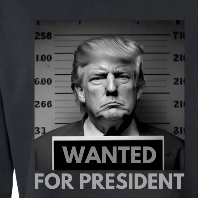 Trump wanted for President 2024 Trump Mugshot Cropped Pullover Crew