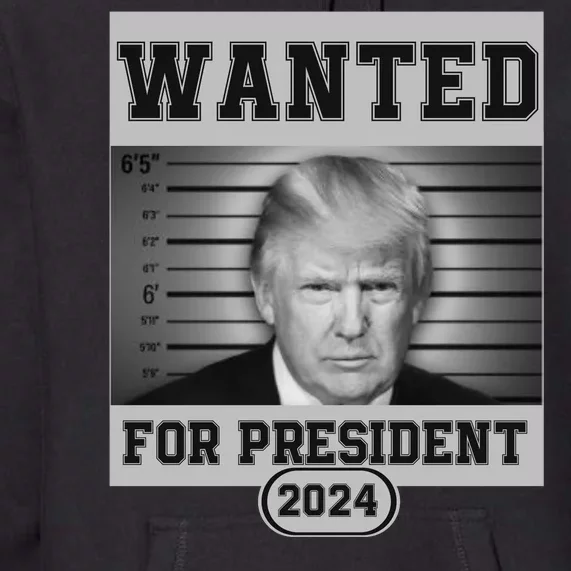 Donald Trump Wanted For President 2024 President Trump Mugshot Premium Hoodie