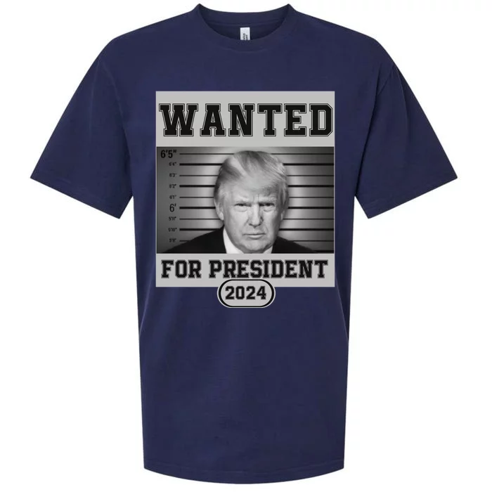 Donald Trump Wanted For President 2024 President Trump Mugshot Sueded Cloud Jersey T-Shirt