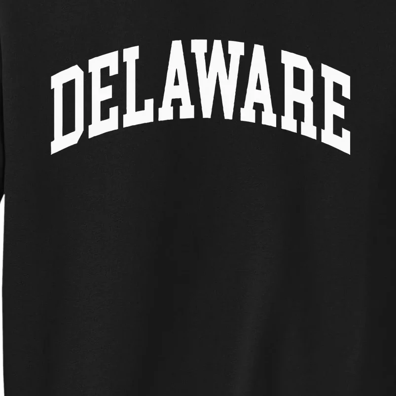 Delaware Us College Font Proud American Usa States Sweatshirt