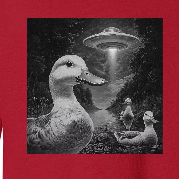 Ducks & Ufos Lakeside Encounter Funny Duck Lover Toddler Sweatshirt