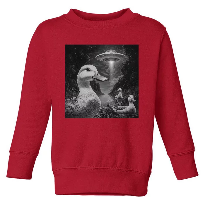 Ducks & Ufos Lakeside Encounter Funny Duck Lover Toddler Sweatshirt