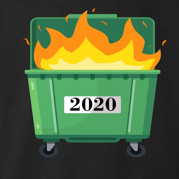 Dumpster Fire 2020 Sucks Worst Year Toddler Hoodie