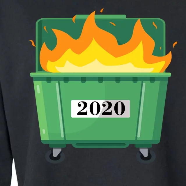 Dumpster Fire 2020 Sucks Worst Year Cropped Pullover Crew