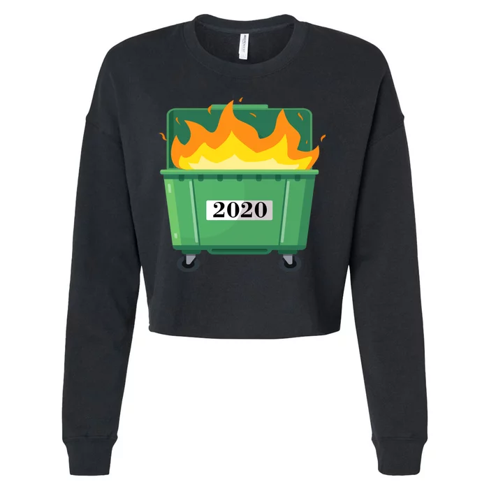 Dumpster Fire 2020 Sucks Worst Year Cropped Pullover Crew