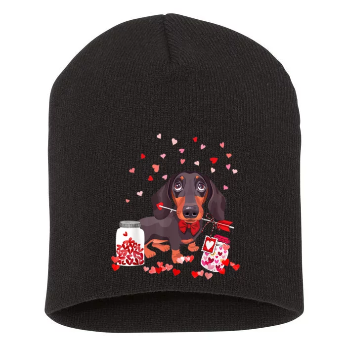 Dog Valentine Cute Dachshund ValentineS Day Short Acrylic Beanie