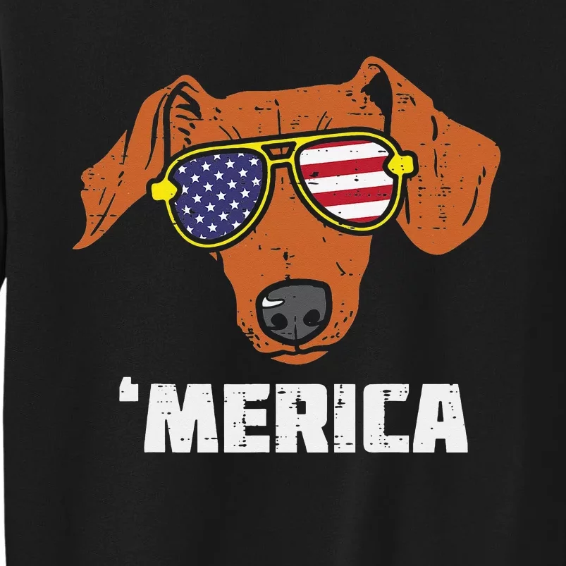 Dachshund Wiener American USA Flag 4th Of July Fourth Dog Tall Sweatshirt